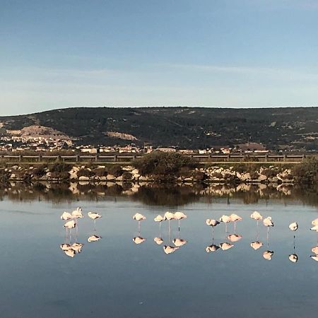 Flamants Roses 1 Pers 6 フロンティニャン エクステリア 写真