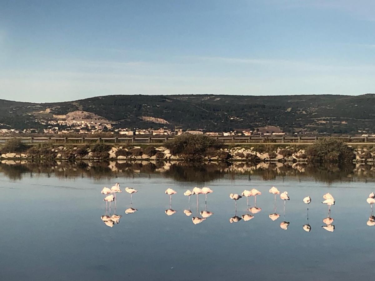 Flamants Roses 1 Pers 6 フロンティニャン エクステリア 写真
